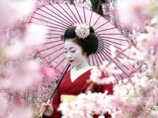 Цветение сакуры – праздник для жителей Японии и ориентир для туристов.