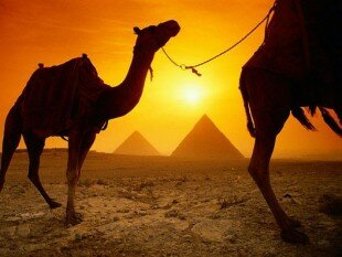 В 2013 году Египет потерял $4 млрд доходов от туризма