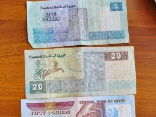 Египетский фунт подешевел на 13%