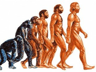 «Происхождение видов» Дарвина оказало сильнейшее влияние на целый ряд наук.
